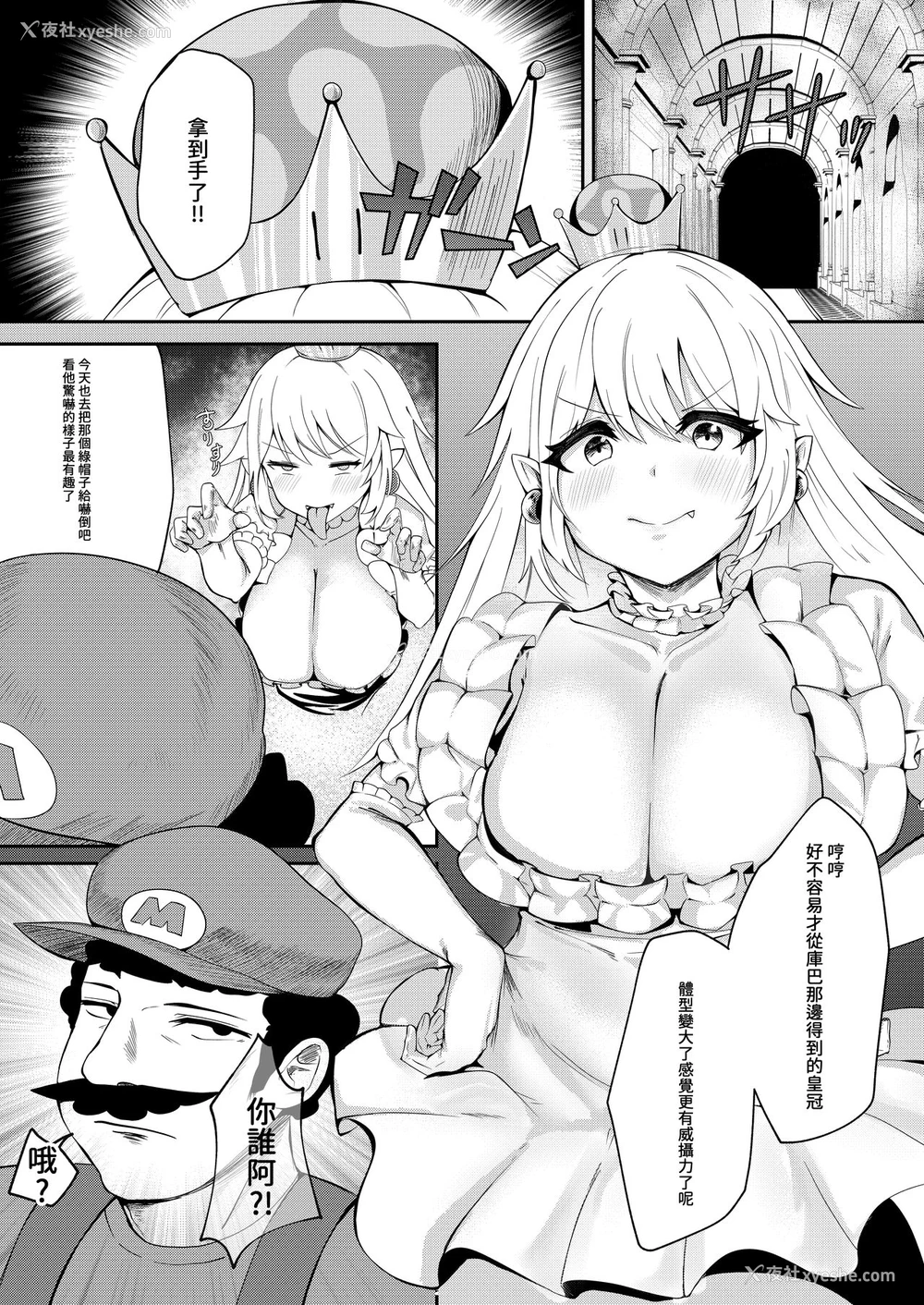 2P - [Karin] 妄想本 (New スーパーマリオブラザーズ U デラックス) [中国语]