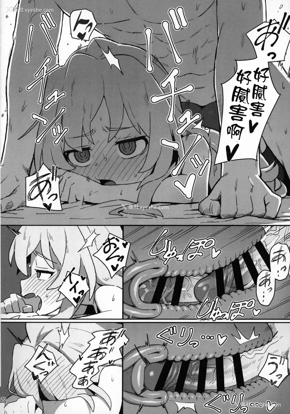 19P - とらドラ!のエロ本 (とらドラ!)