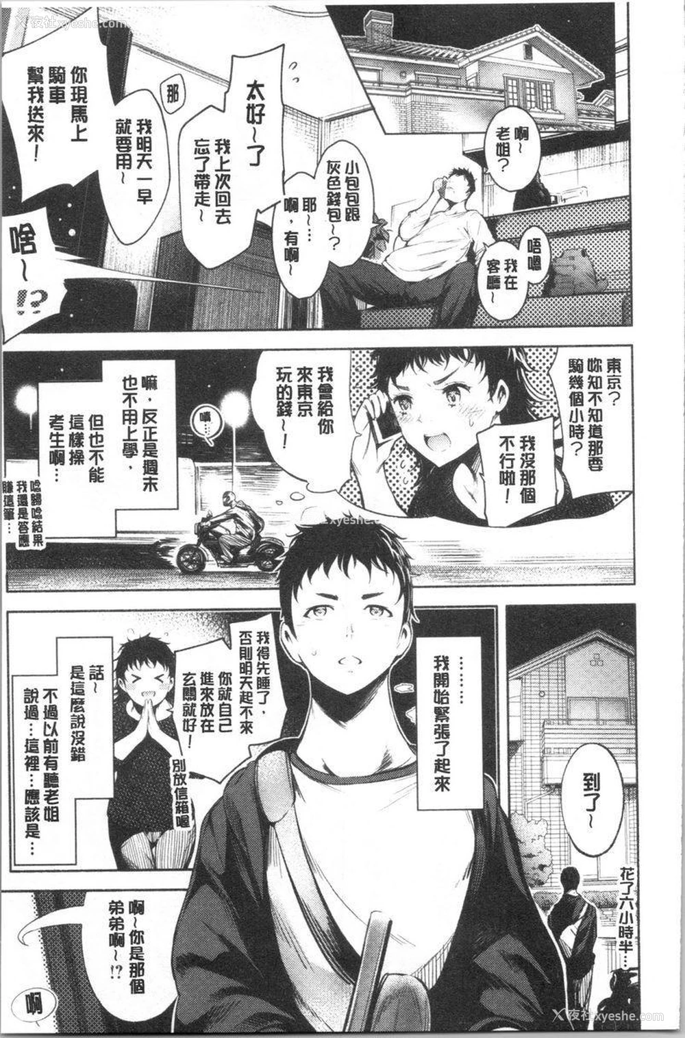 1P - 悦乐奶油派