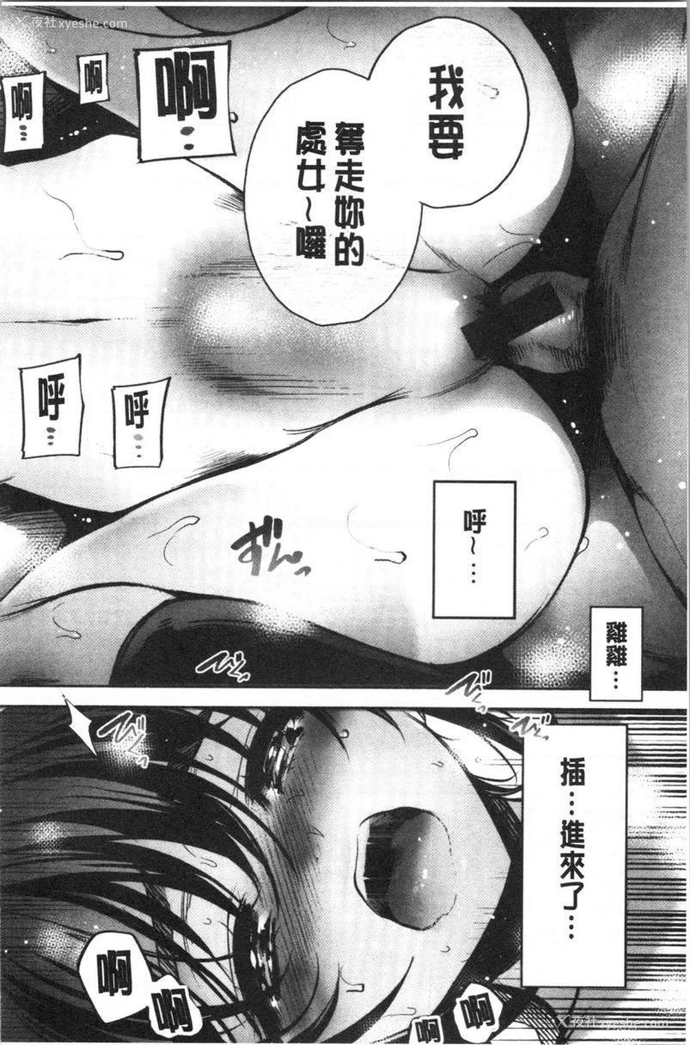 12P - 悦乐奶油派