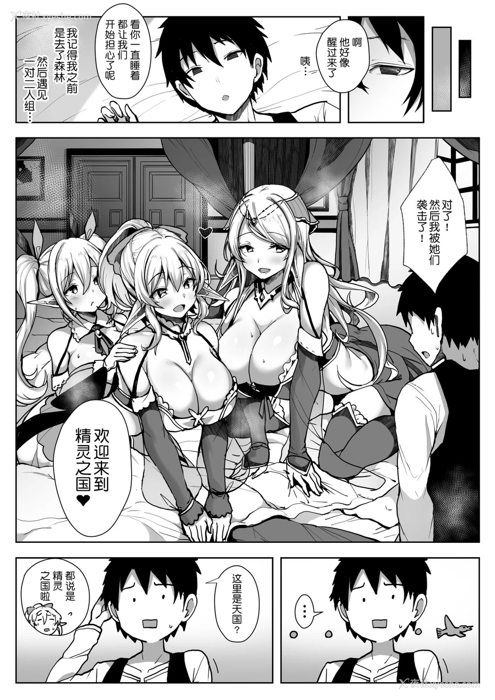 8P - [diletta (おぱんちゅ)] エルフハーレム [中国翻訳]