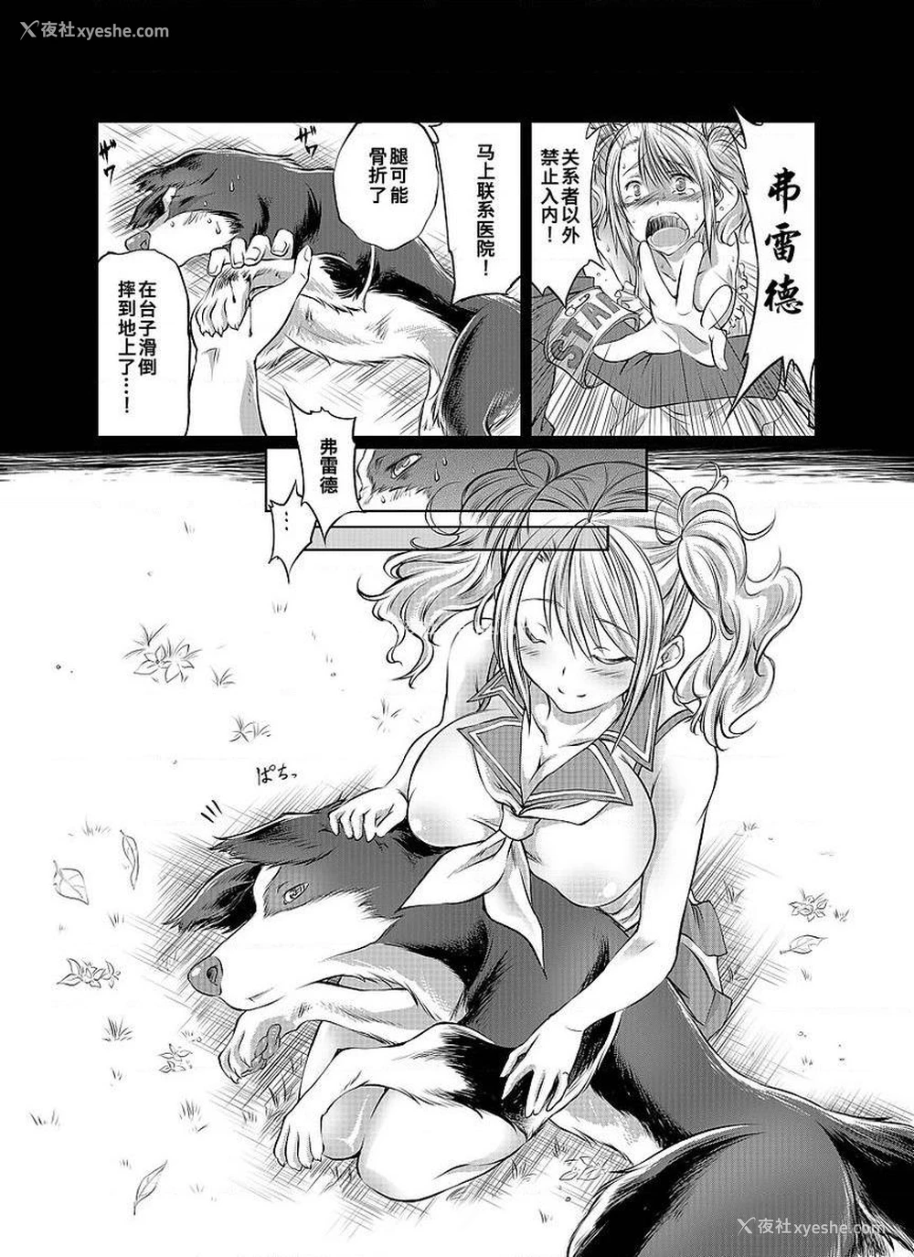 11P - Love Love 兽奸Girls