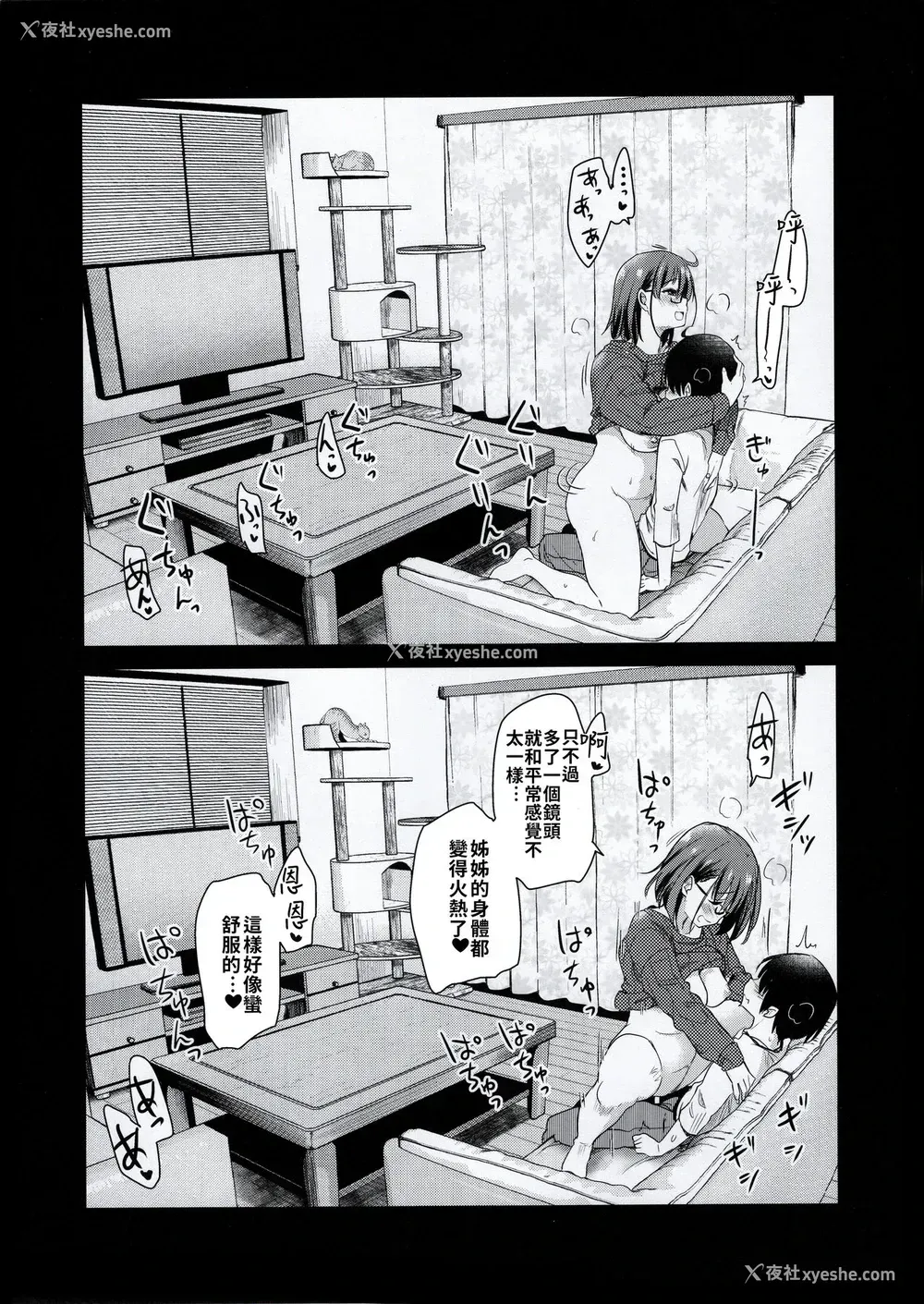 20P - (コミティア131) [真・圣堂☆本舗 (圣☆司)] ペット见守りカメラに姉と弟のセックスが映ってた。[中国翻訳]