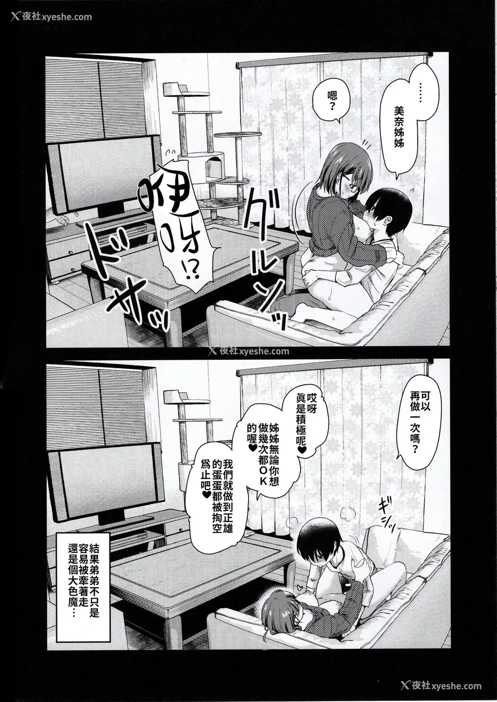 24P - (コミティア131) [真・圣堂☆本舗 (圣☆司)] ペット见守りカメラに姉と弟のセックスが映ってた。[中国翻訳]
