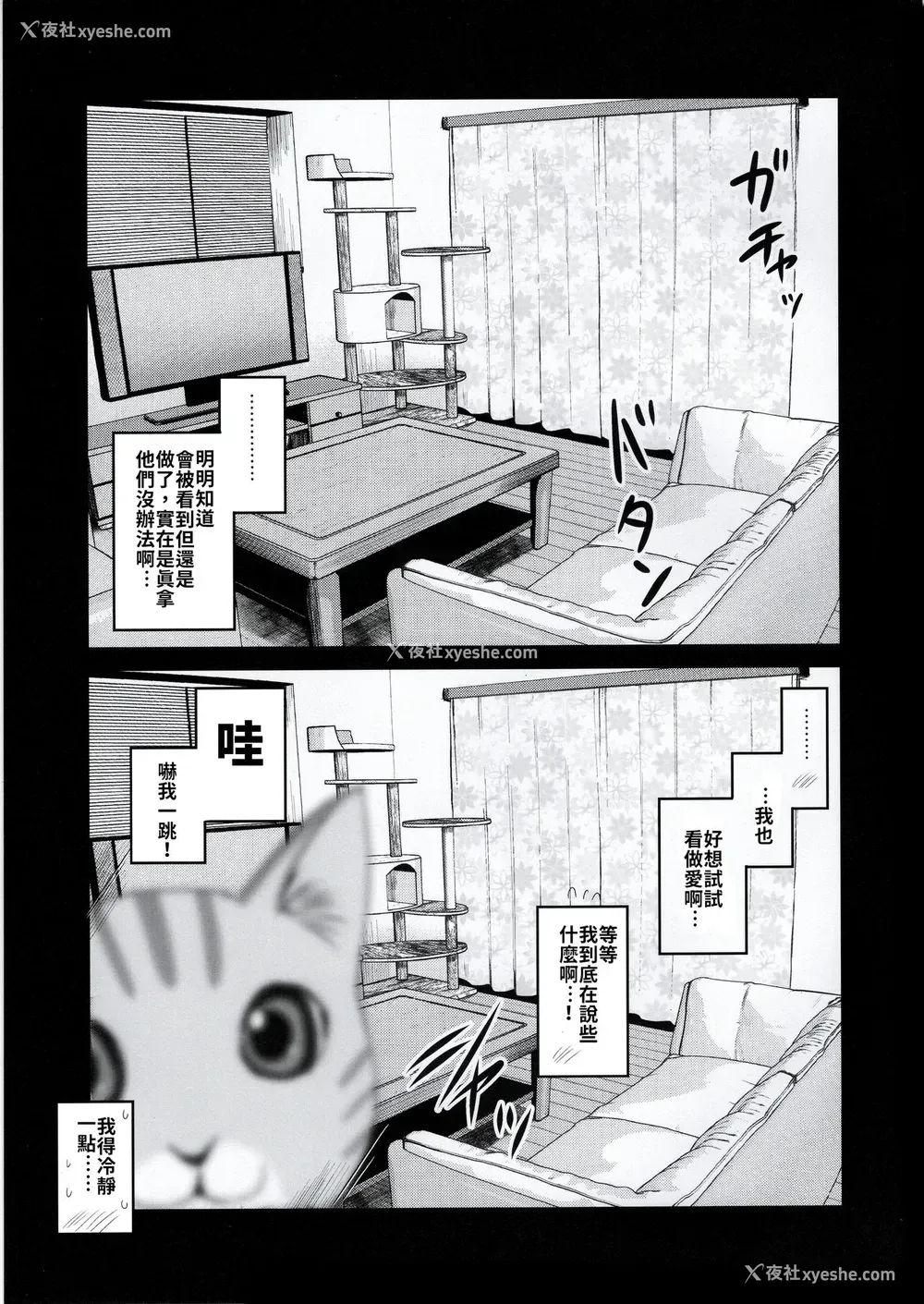 29P - (コミティア131) [真・圣堂☆本舗 (圣☆司)] ペット见守りカメラに姉と弟のセックスが映ってた。[中国翻訳]