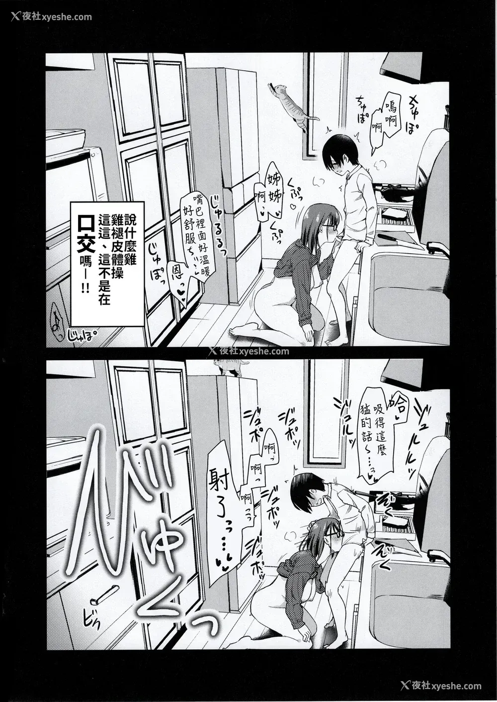 8P - (コミティア131) [真・圣堂☆本舗 (圣☆司)] ペット见守りカメラに姉と弟のセックスが映ってた。[中国翻訳]