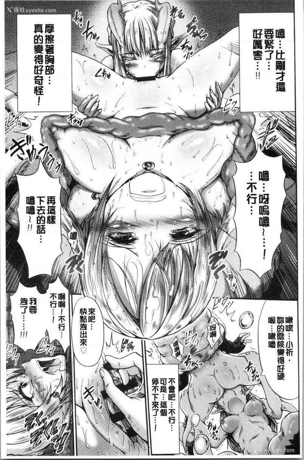 13P - 牝堕公主君