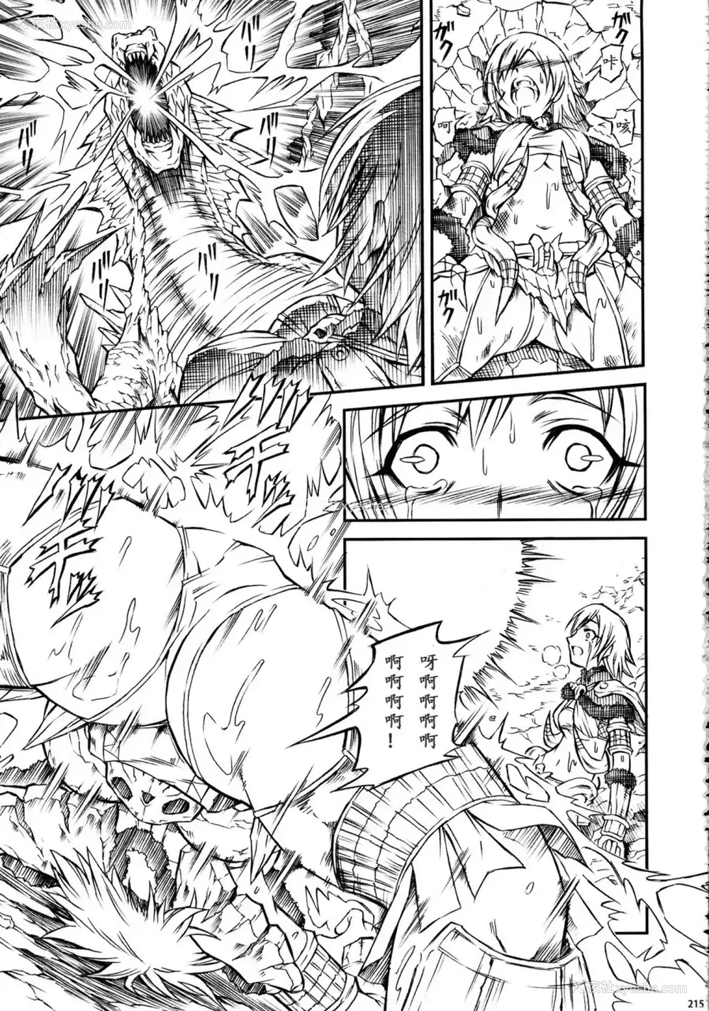 215P - (C90) [Yokohama Junky (魔狩十织)] ソロハンター达の生态 (モンスターハンター) [中国翻訳]