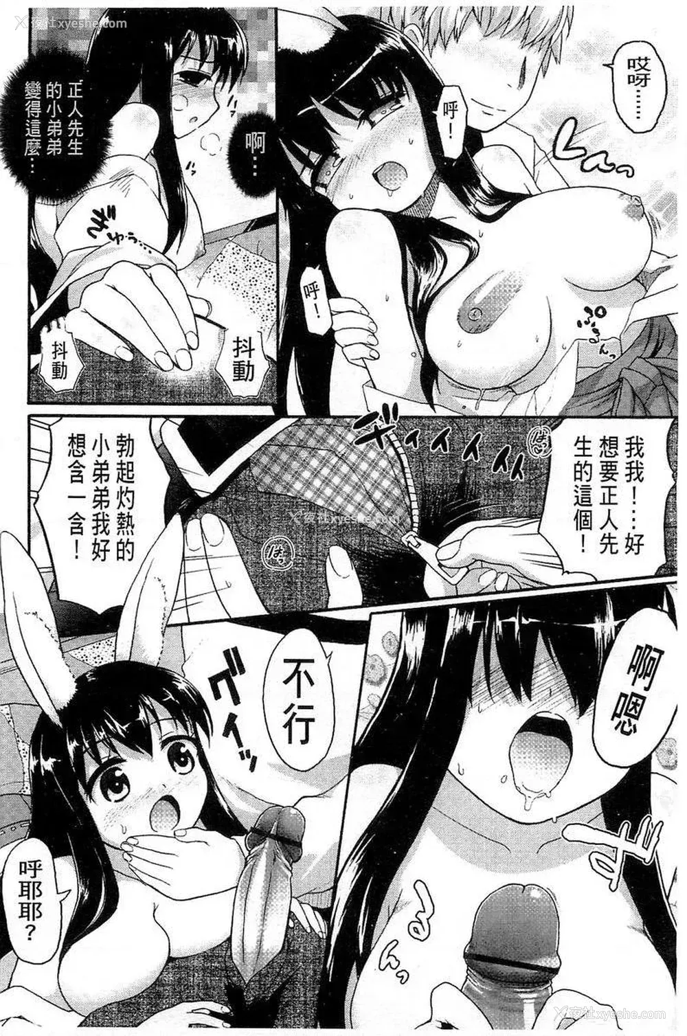 8P - 兔兔巫女小姐