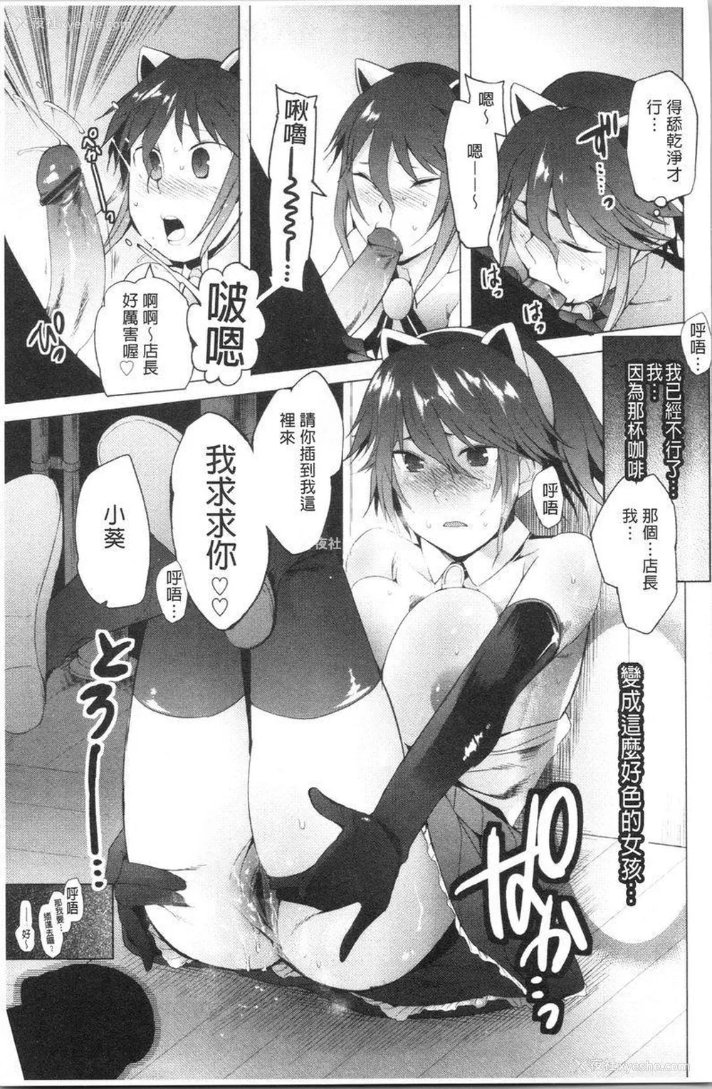9P - 跟随你！