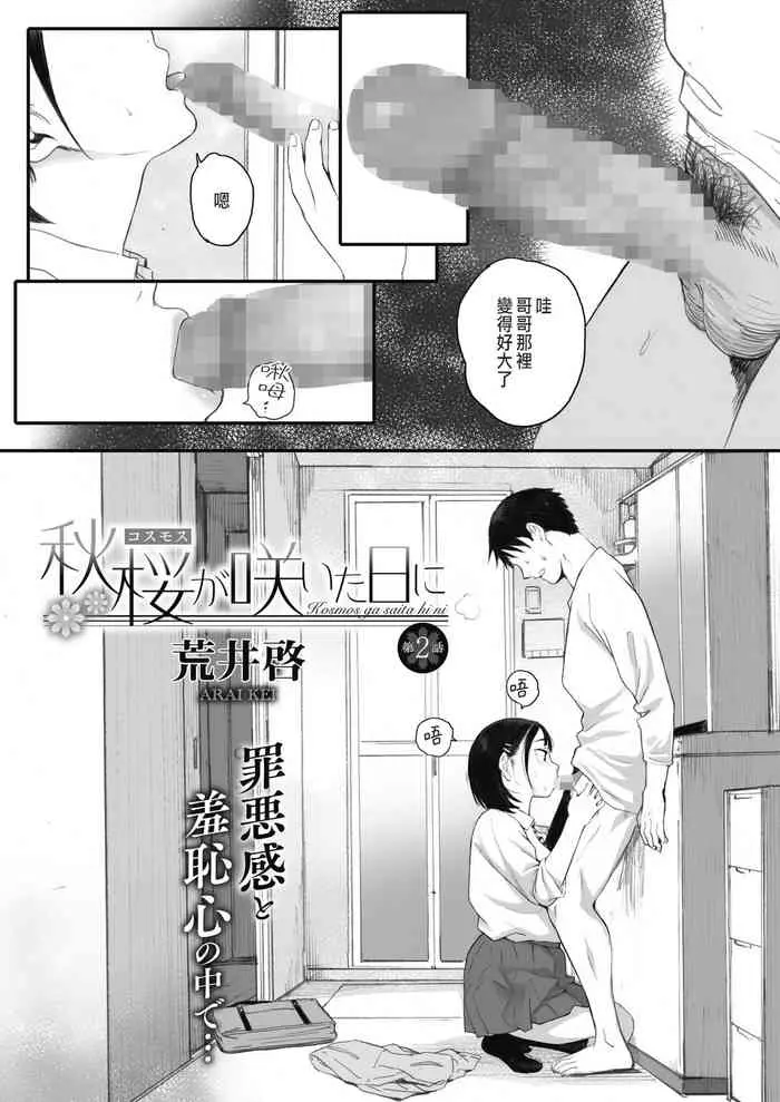秋桜が咲いた日に 第2话