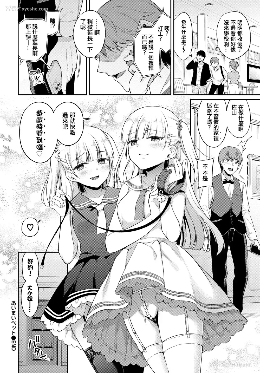 22P - あいまいペット