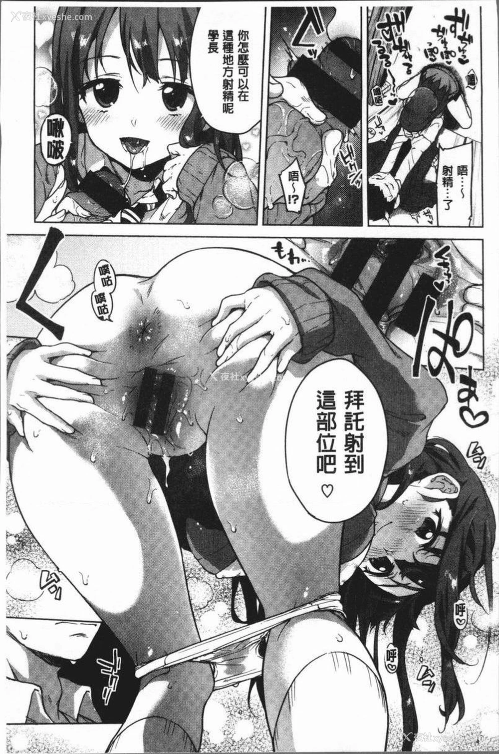 7P - 性玩伴BOX