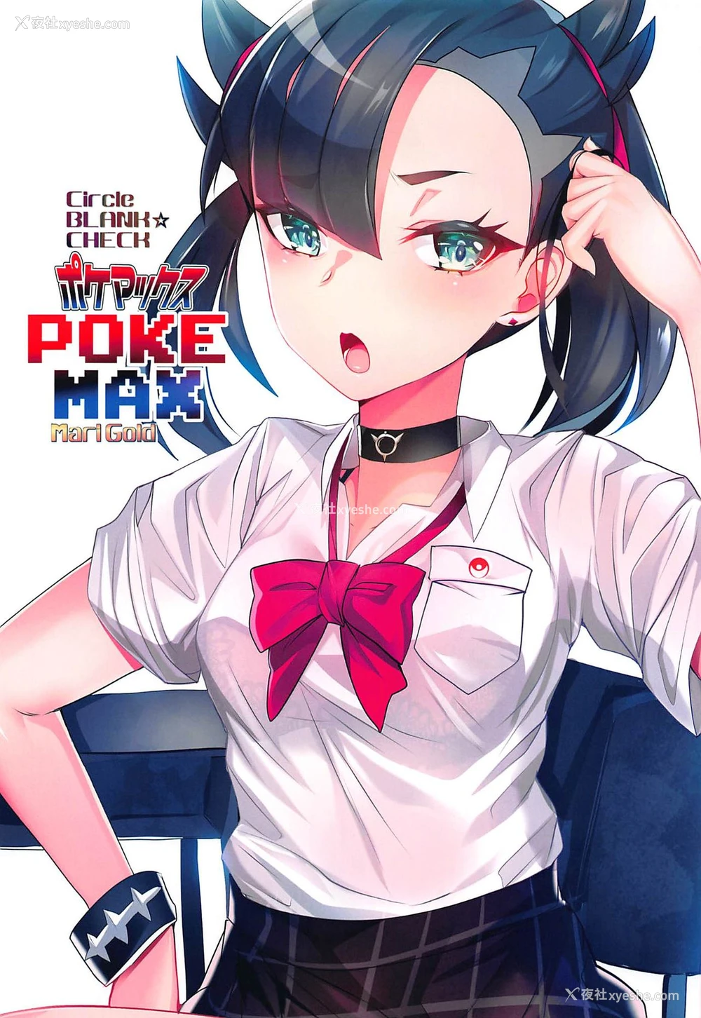 12P - (C97) [ぶらんく☆ちぇっく (しりー)] POKEMAX (ポケットモンスター ソード・シールド) [中国翻訳]