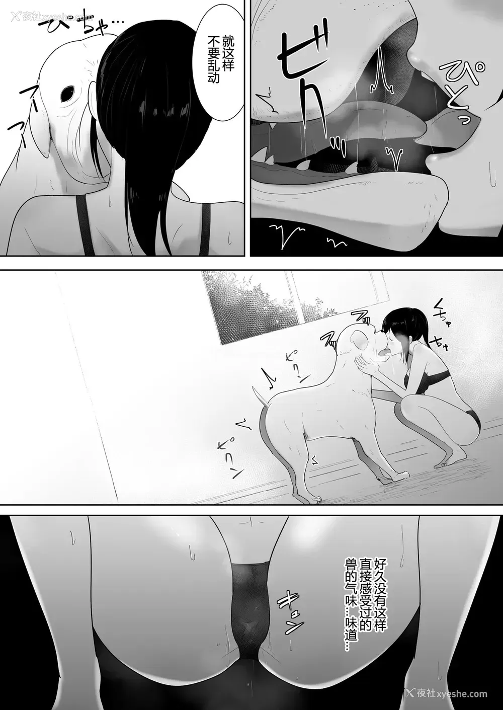 16P - [フレイア] 我が家にペットがやってきた 2