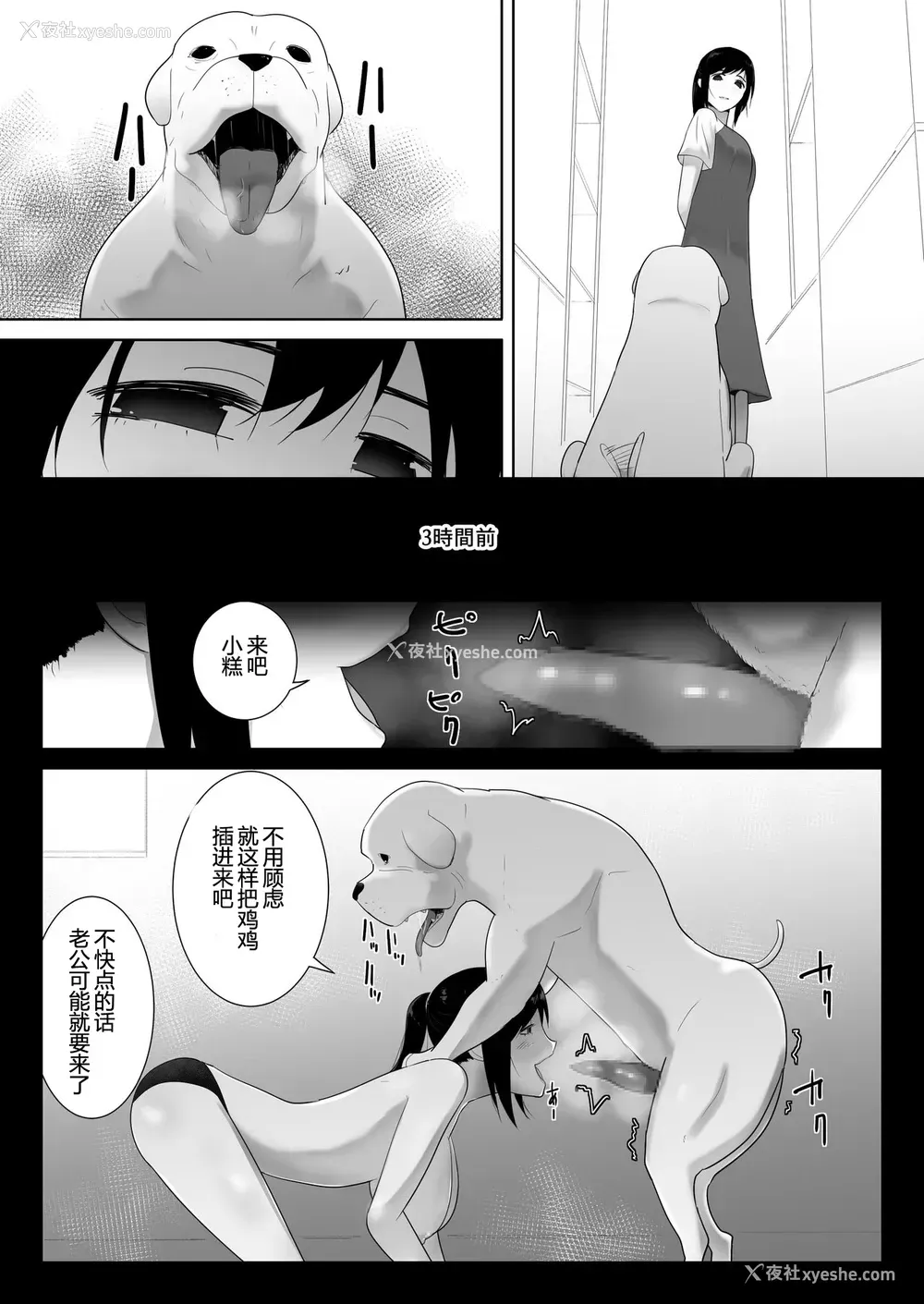 23P - [フレイア] 我が家にペットがやってきた 2