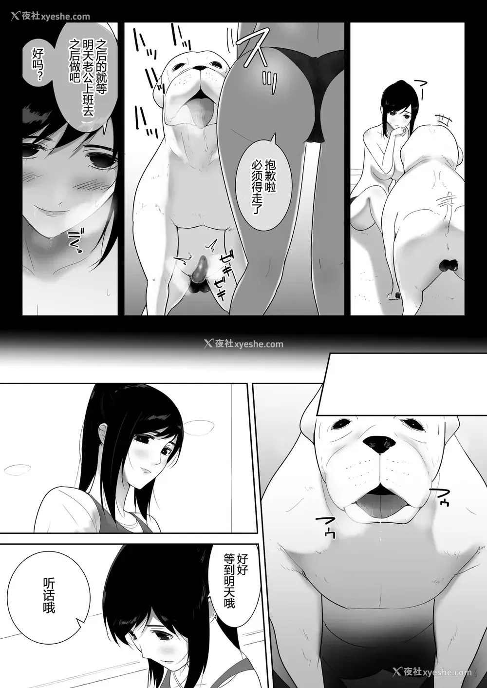 28P - [フレイア] 我が家にペットがやってきた 2