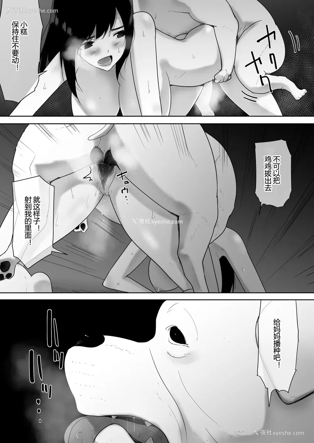 45P - [フレイア] 我が家にペットがやってきた 2