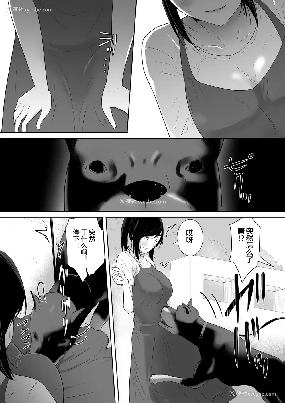 4P - [フレイア] 我が家にペットがやってきた 2
