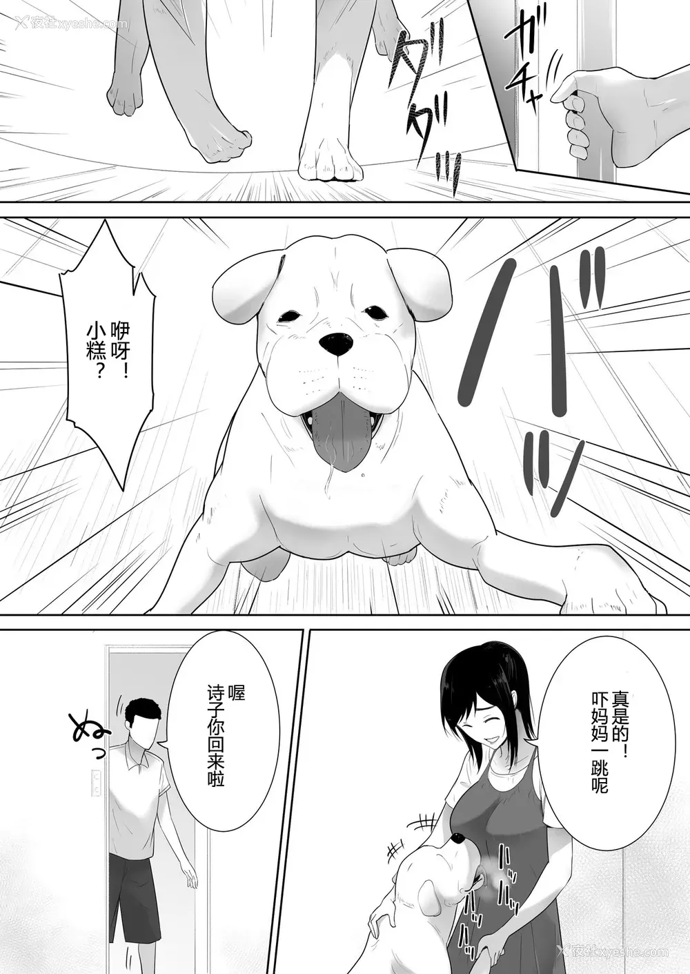 6P - [フレイア] 我が家にペットがやってきた 2