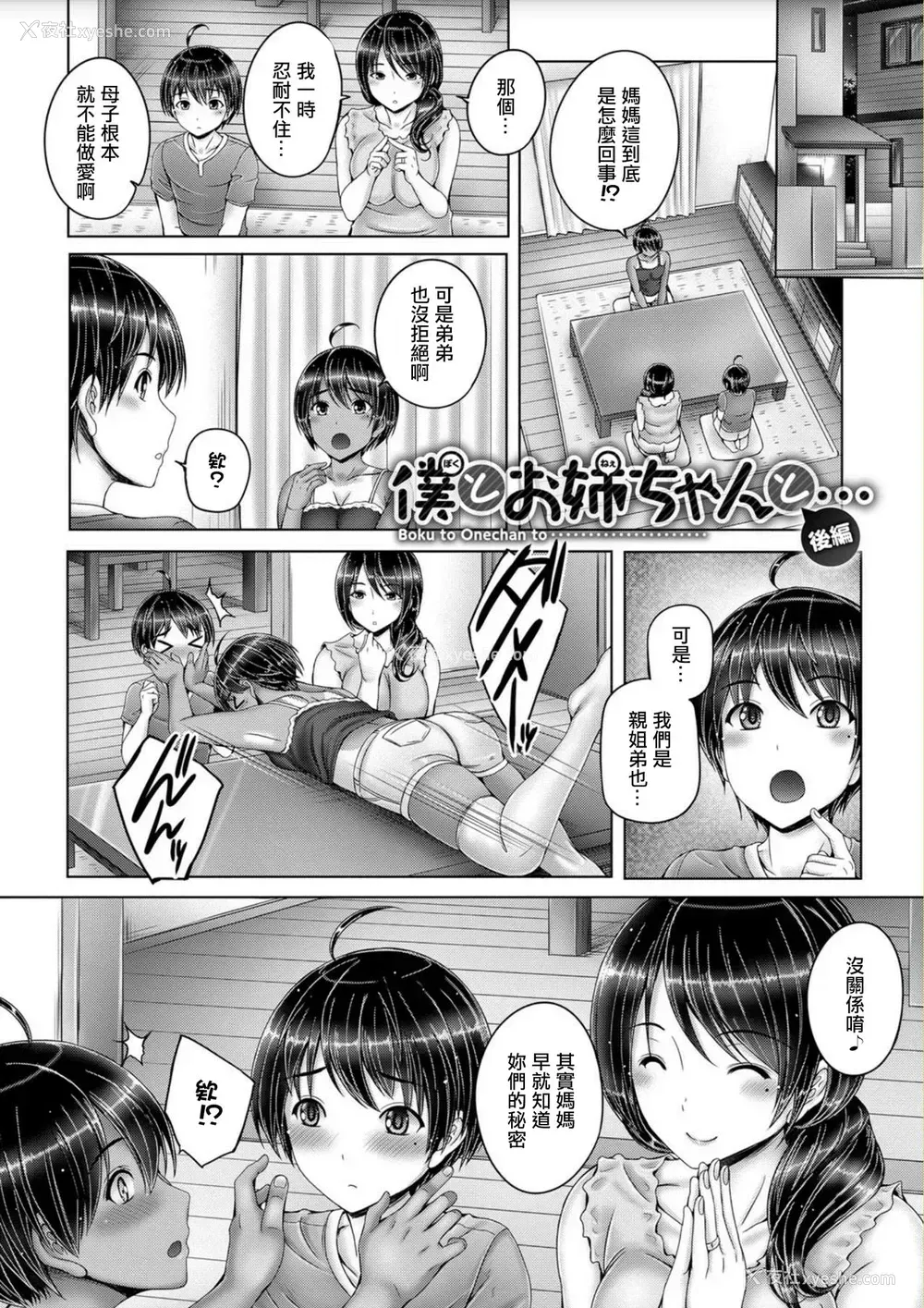 21P - [音音] 仆とお姉ちゃんと··· (アネスリウム) [中国翻訳] [DL版]