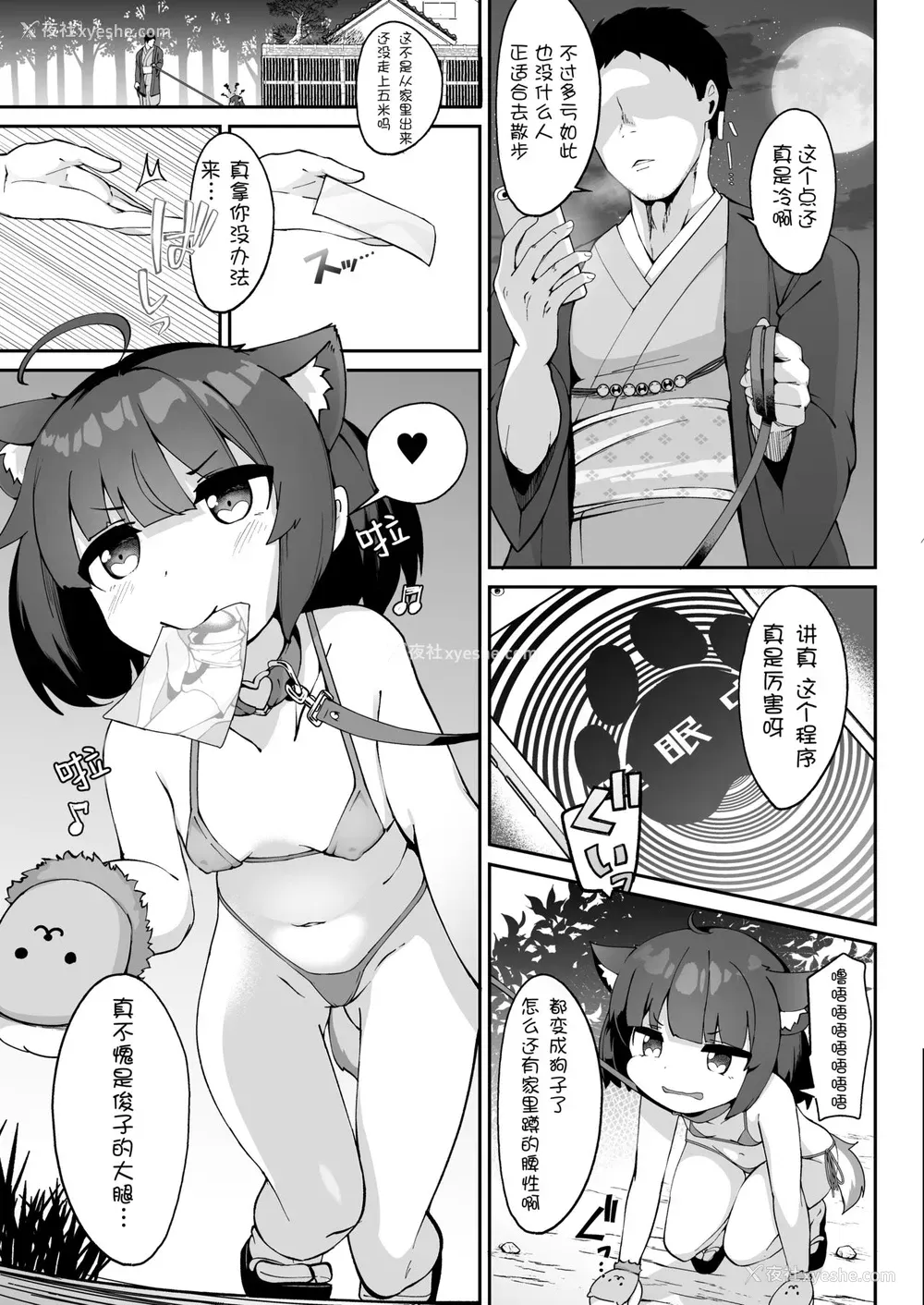 6P - きりたんの正しいしつけ方
