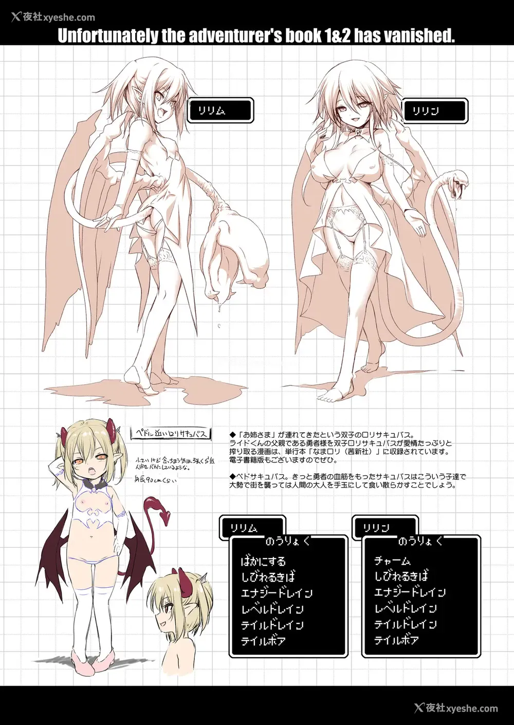 27P - [KAMINENDO.CORP (あかざわRED)] まことに ざんねんですが ぼうけんのしょ2は消えてしまいました。 [中国翻訳] [DL版]