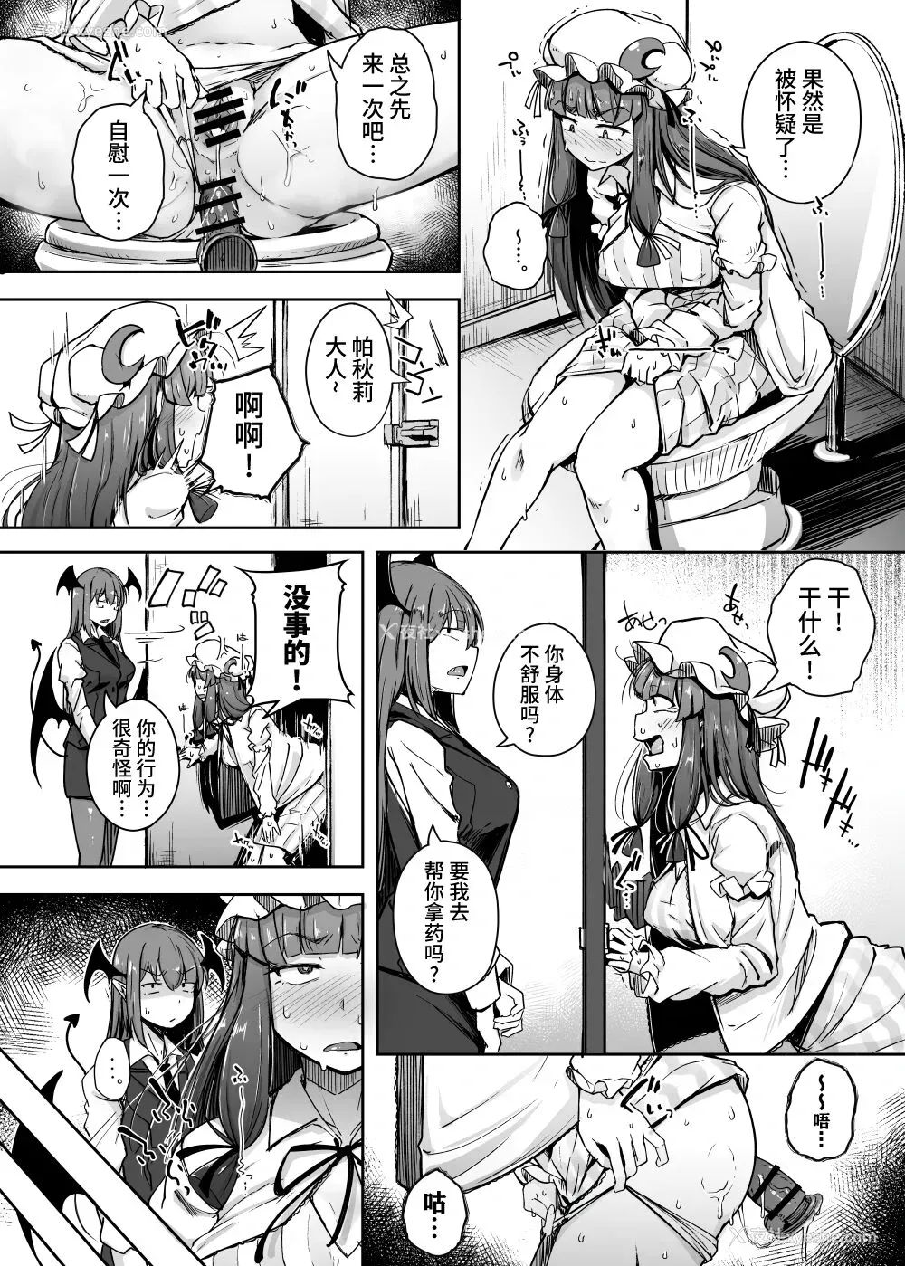 6P - [自家発电処 (flanvia)] 穴とむっつりどすけべだいとしょかん 4 (东方Project) [中国翻訳] [DL版]