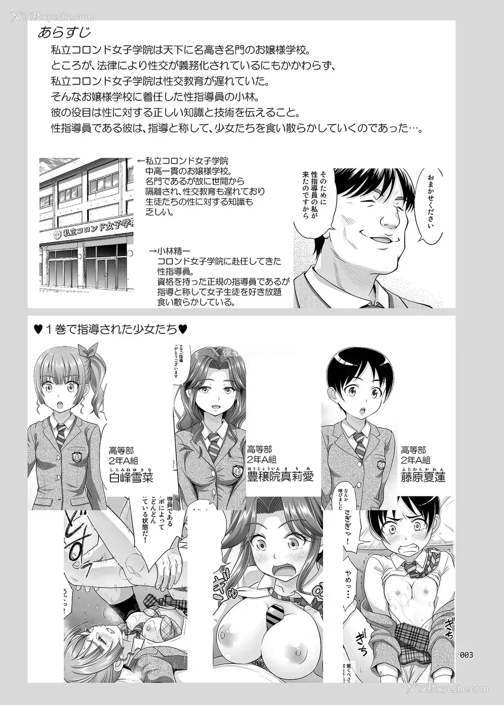 2P - 性指导员的工作