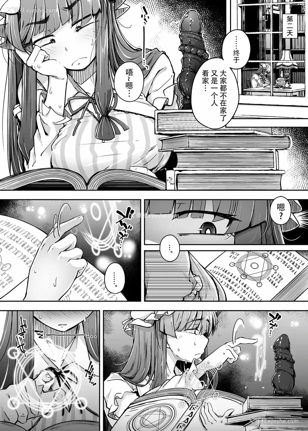 12P - [自家発电処 (flanvia)] 穴とむっつりどすけべだいとしょかん 3 (东方Project) [中国翻訳] [DL版]
