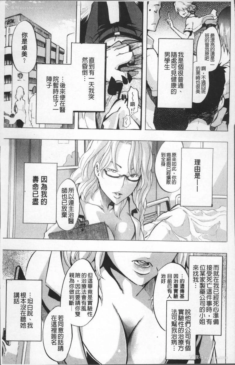 2P - TSF物语
