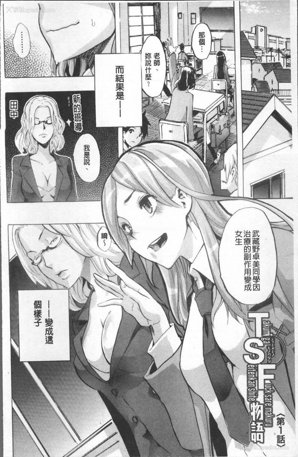 3P - TSF物语