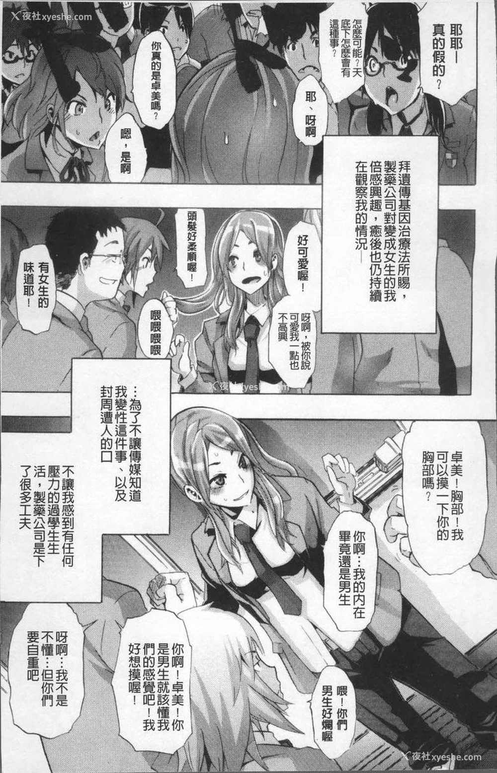 4P - TSF物语
