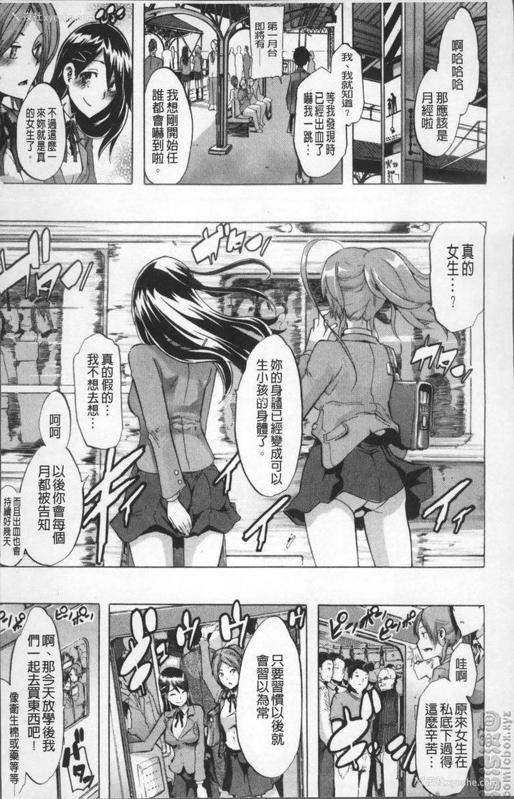 3P - TSF物语