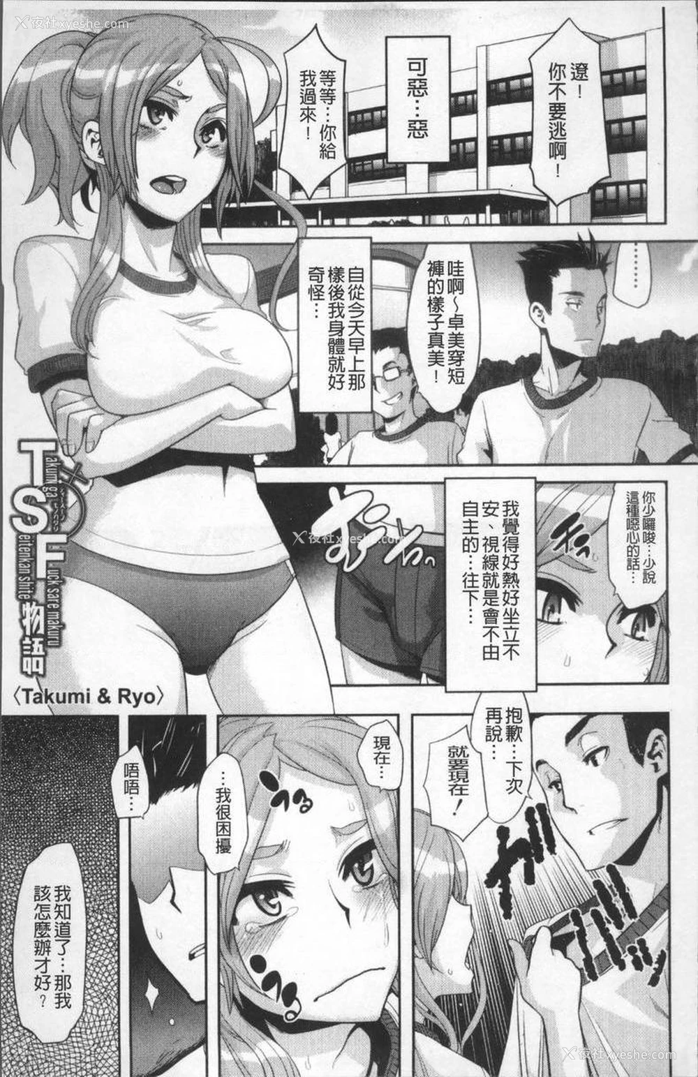 1P - TSF物语