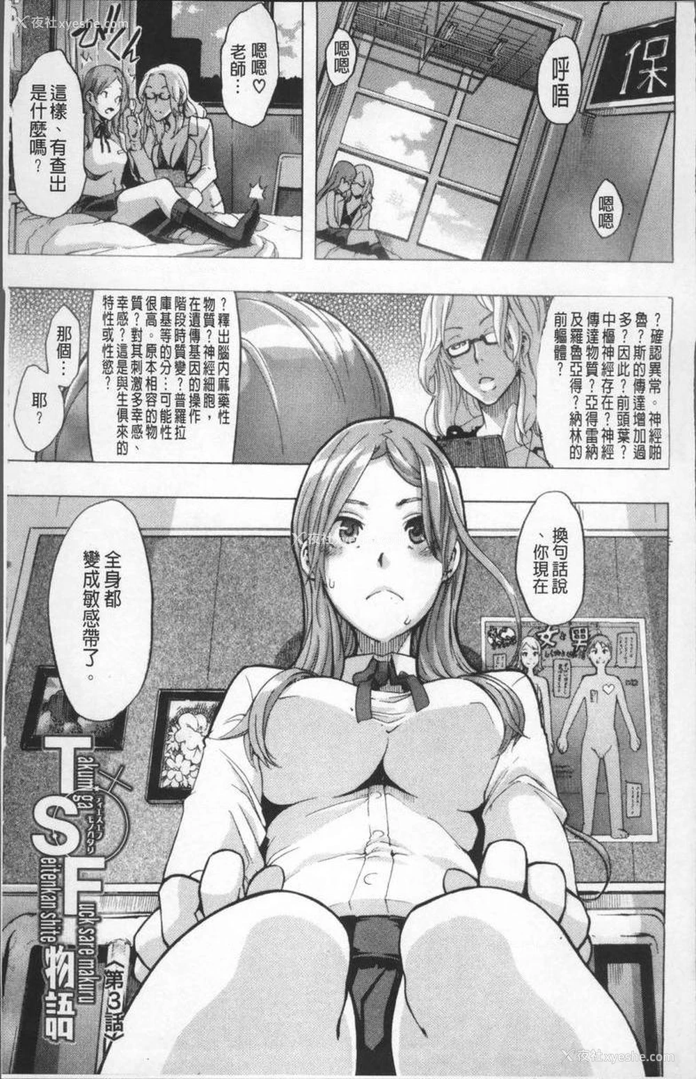 1P - TSF物语