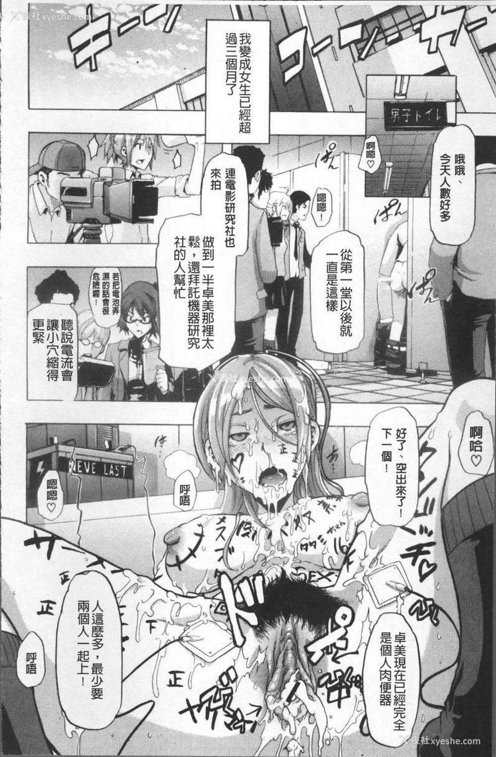36P - TSF物语