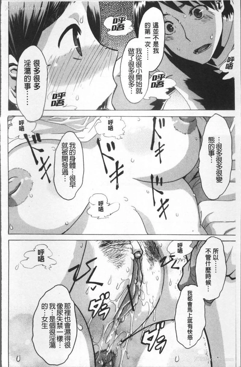 16P - TSF物语