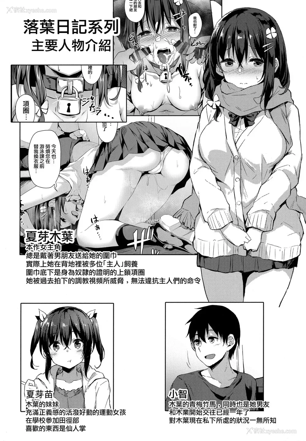 2P - (AC3) [灯色の研究室 (灯问)] 落ち叶日记 -露出调教编- [中国翻訳]