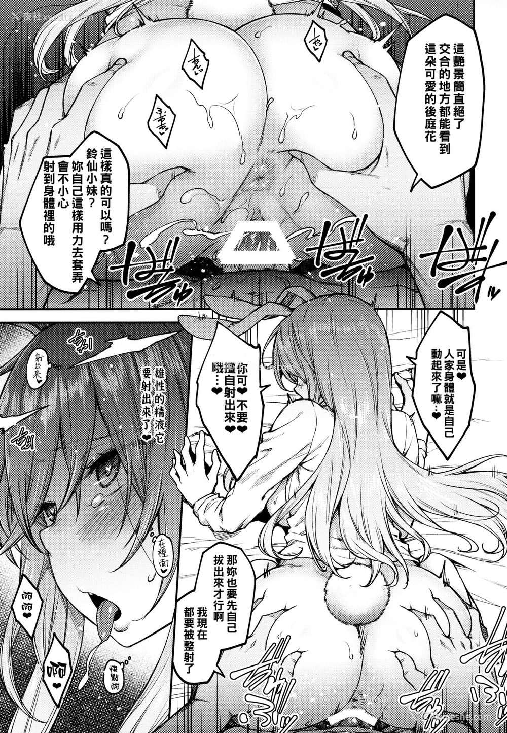 12P - (例大祭16) [広十练习帖 (広弥)] ハツジョウウサギ (东方Project)