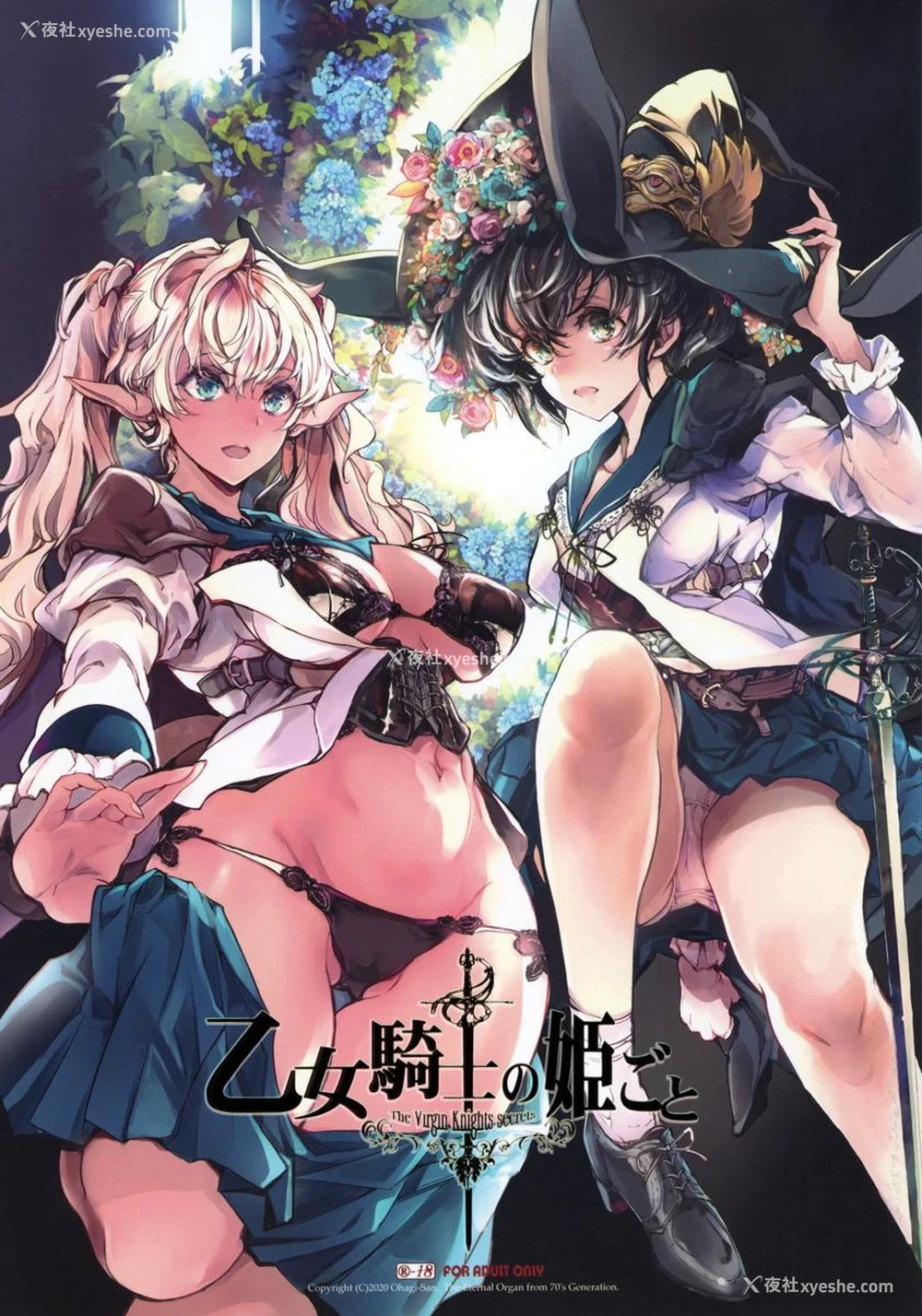 1P - 少女骑士之秘密