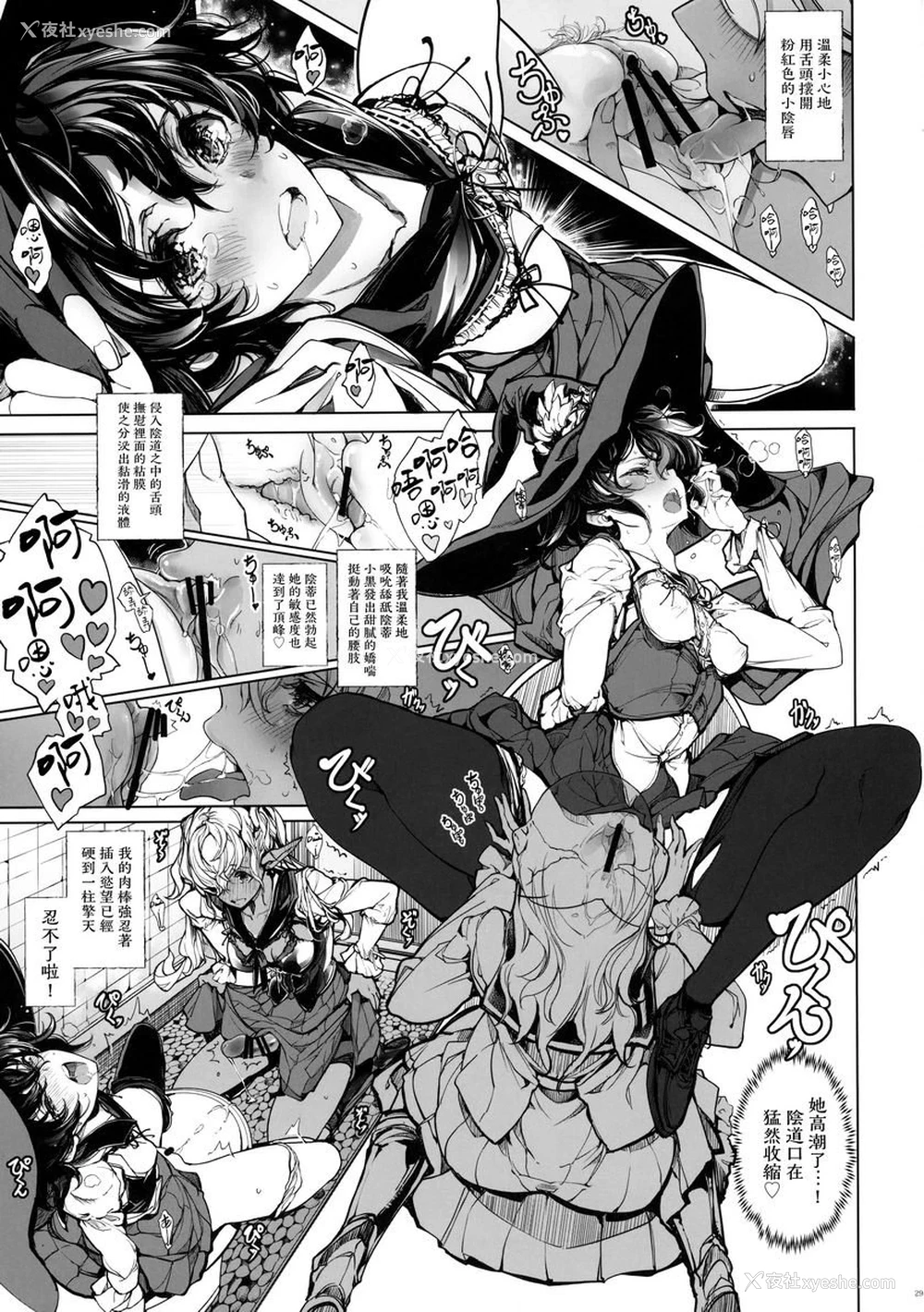 28P - 少女骑士之秘密