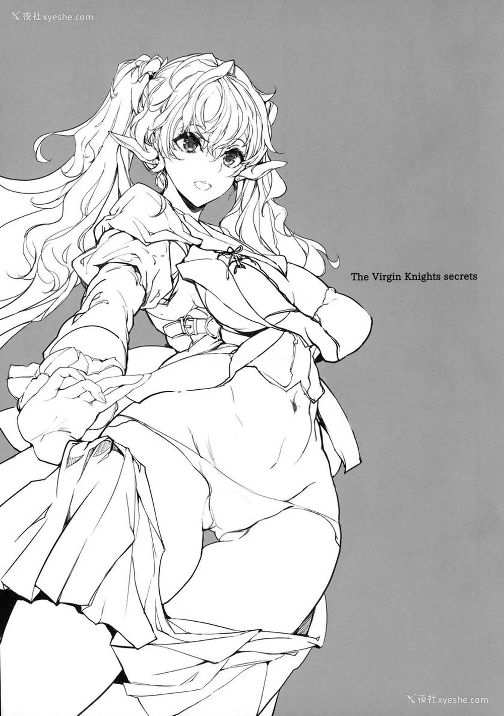 2P - 少女骑士之秘密