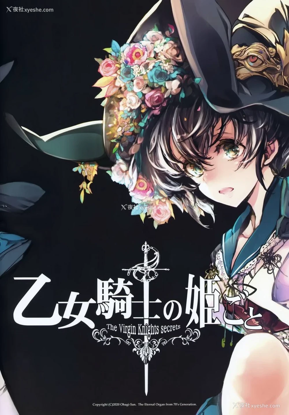 41P - 少女骑士之秘密