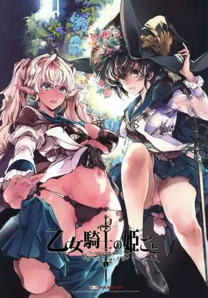 少女骑士之秘密