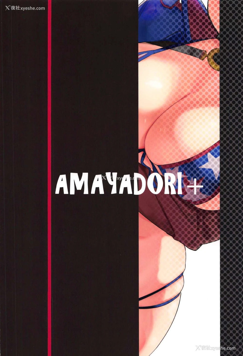 24P - (C97) [AMAYADORI (ハレノチアメ)] 武×罚 (Fate/Grand Order) [中国翻訳]