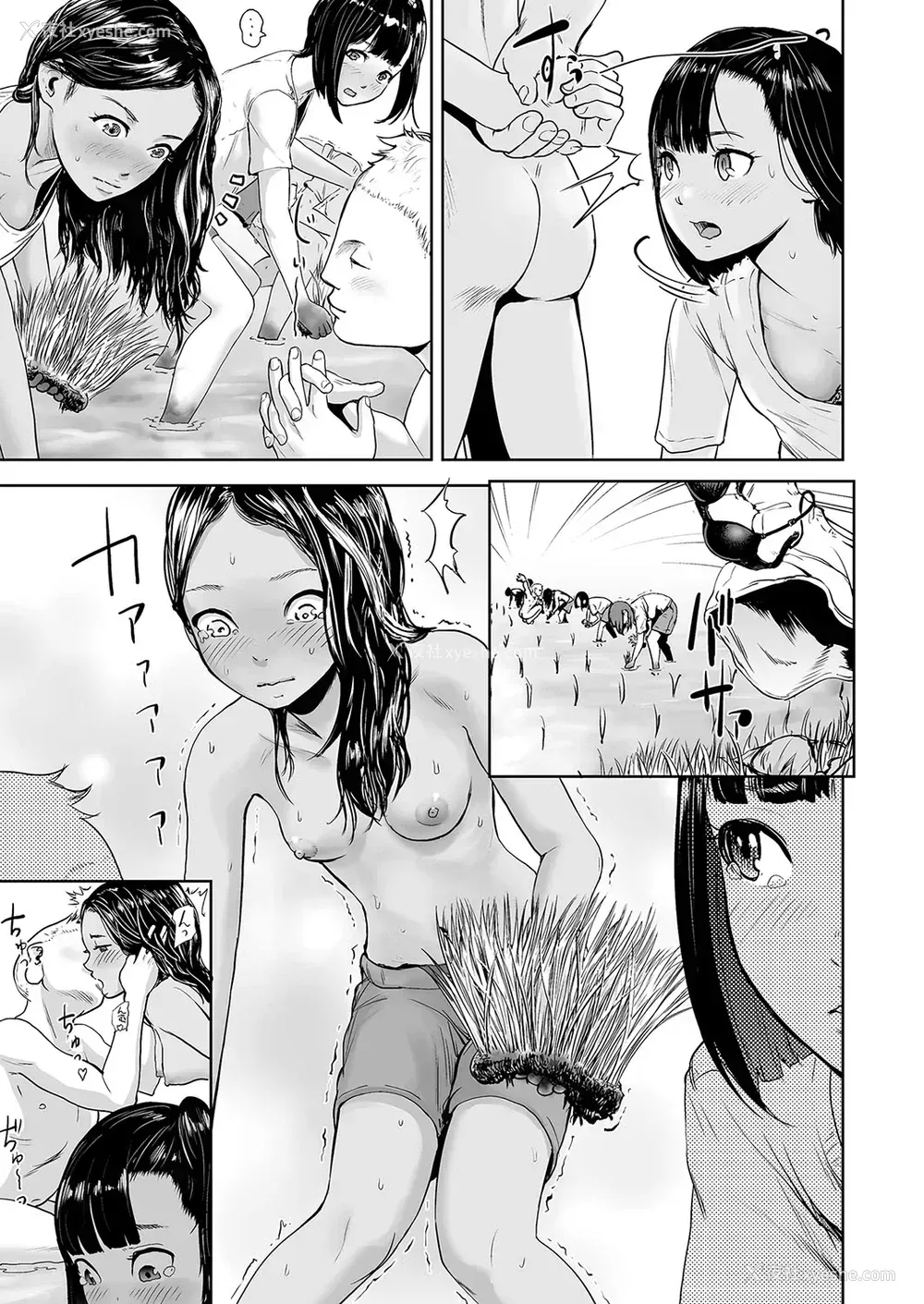 7P - [ゲズンタイト] HARVEST