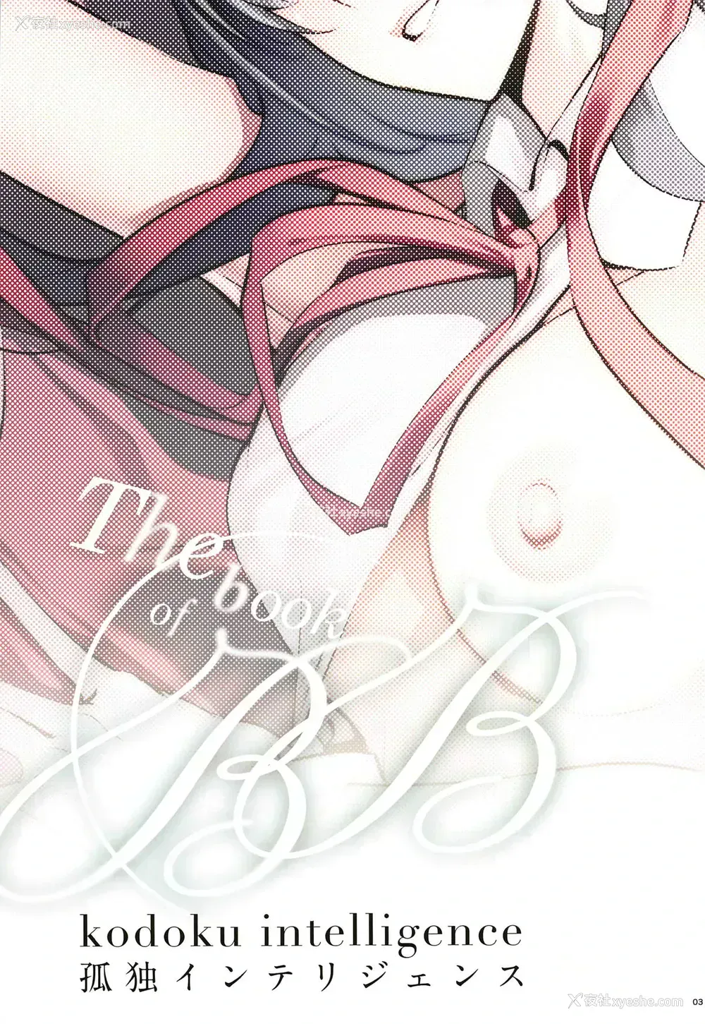 2P - (C95) [孤独intelligence (ななお、真早)] the book of BB (Fate/Grand Order) [中国翻訳]