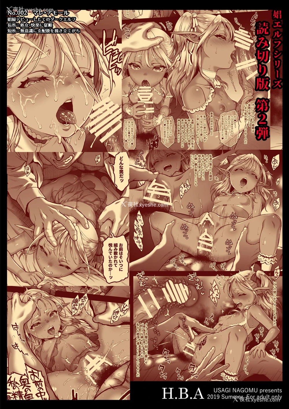 35P - [H.B.A (うさぎなごむ)] 悠久の娼エルフ2「憧憬」