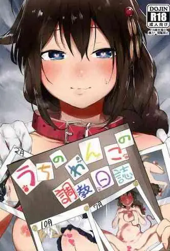 (C91) [焼きトマホークステーキ (焼きトマト)] うちのわんこの调教日志 (舰队これくしょん -舰これ-) [中国翻訳]